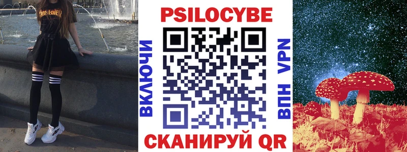 Псилоцибиновые грибы Psilocybine cubensis Заволжье
